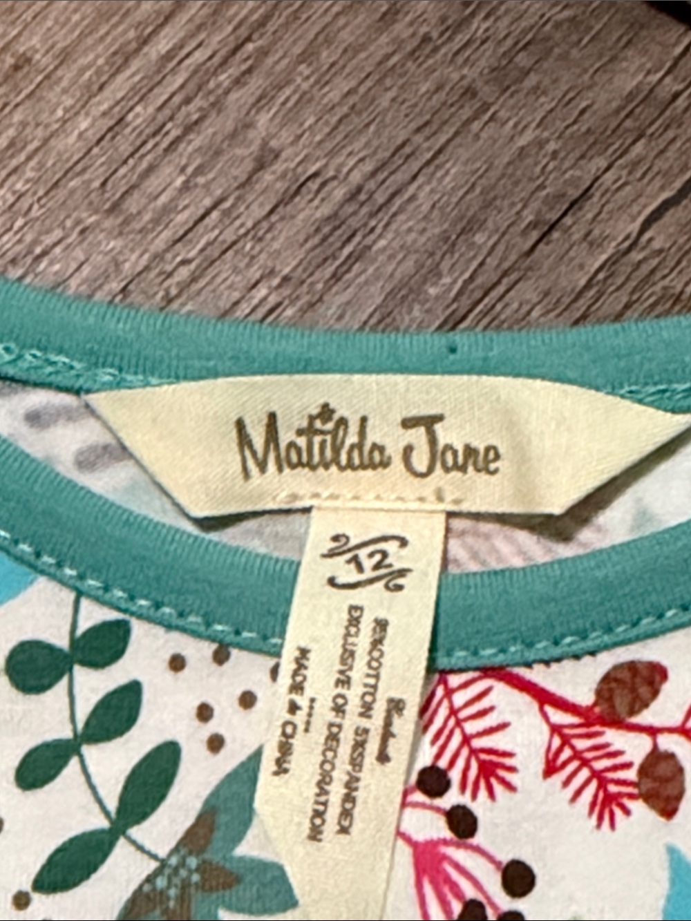 Matilda Jane Teal Mesh Floral Bodice Dress with Pink Trim - Picture 3 of 4
